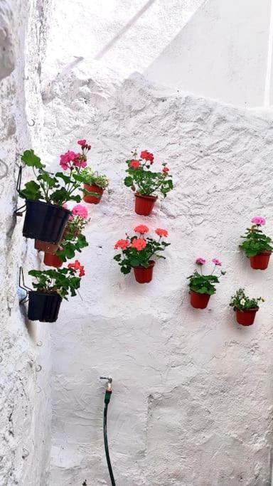 La Casa De Los Tiles Vélez Blanco Екстериор снимка